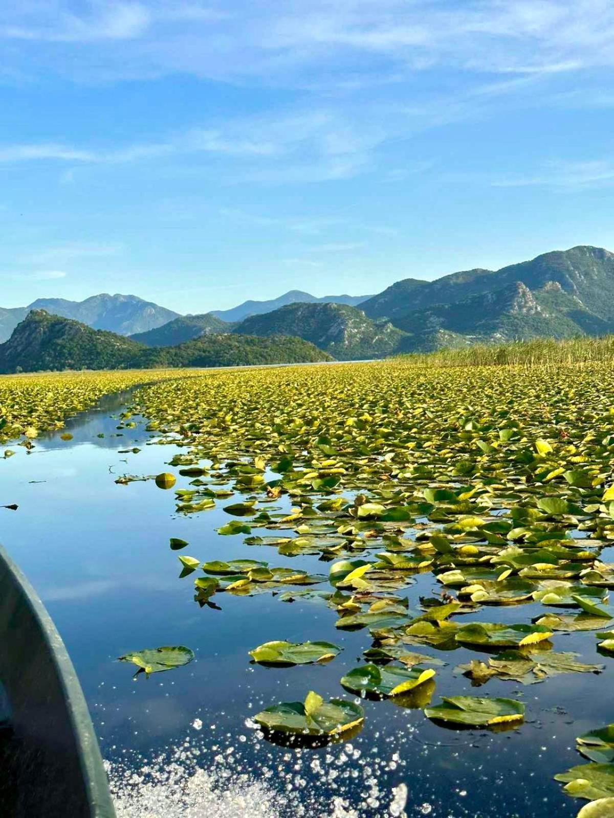 Casa Di Kiara, Skadar Lake Dodosi 外观 照片